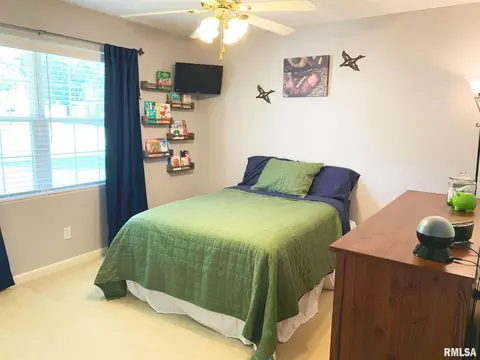 3029 Pine Ridge Dr, Herrin, IL 62948 photo 25