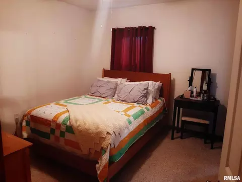 116 Turner Ave, Anna, IL 62906 photo 9