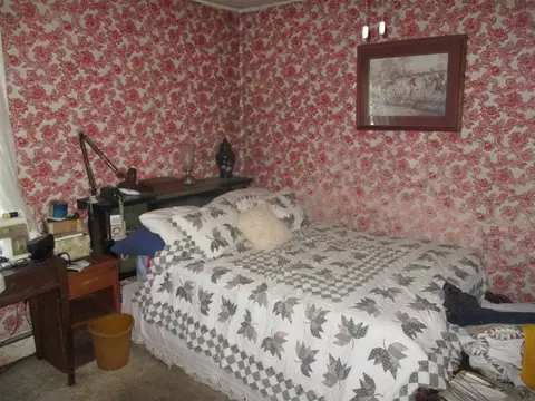 109 W Main St, Buckner, IL 62819 photo 9