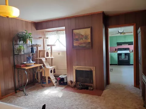 995 Francis Rd, Eldorado, IL 62930 photo 16