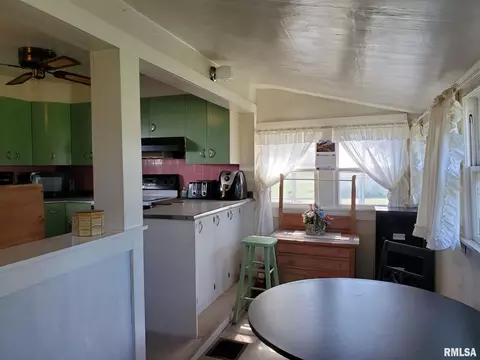 995 Francis Rd, Eldorado, IL 62930 photo 23