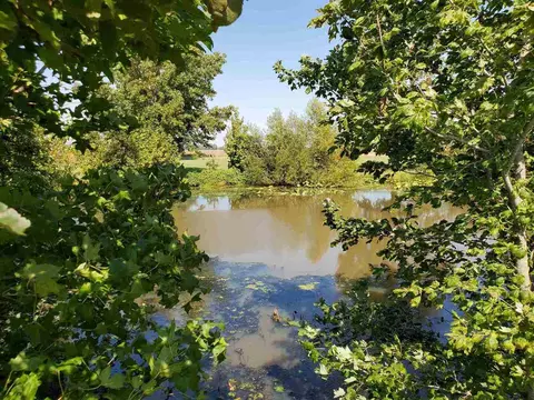 995 Francis Rd, Eldorado, IL 62930 photo 9
