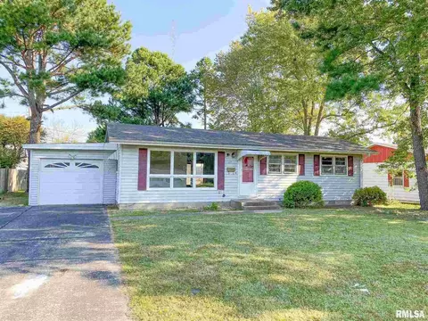 29 Holly Ln, Flora, IL 62839 photo 1