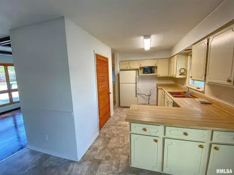 29 Holly Ln, Flora, IL 62839 photo 17