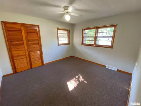 29 Holly Ln, Flora, IL 62839 photo 20