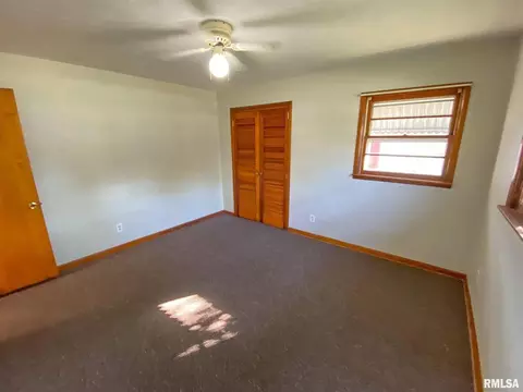 29 Holly Ln, Flora, IL 62839 photo 21
