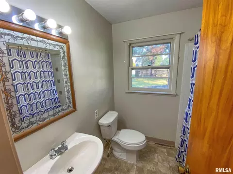 29 Holly Ln, Flora, IL 62839 photo 24