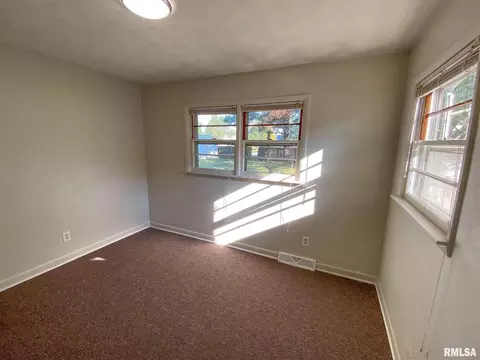 29 Holly Ln, Flora, IL 62839 photo 23
