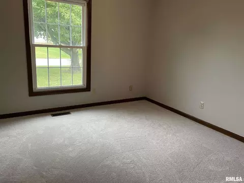 1602 Matthew Ln, Marion, IL 62959 photo 20