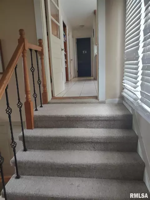 102 E 2nd South St, Steeleville, IL 62288 photo 32