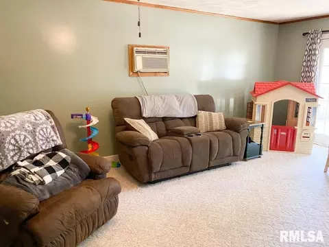 117 Evergreen Dr, Anna, IL 62906 photo 7