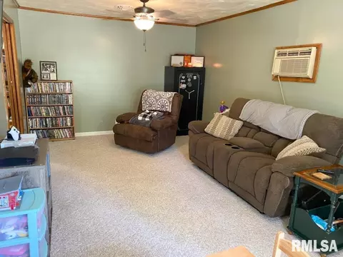 117 Evergreen Dr, Anna, IL 62906 photo 8