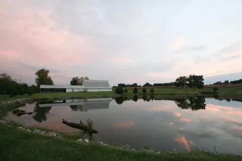 1177 County Road 800 E Rd, Carmi, IL 62821 photo 4