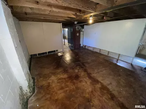424 E 2nd St, Flora, IL 62839 photo 18