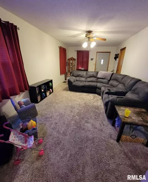 531 Dewitte St, Murphysboro, IL 62966 photo 6