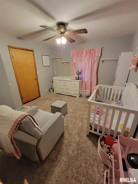 531 Dewitte St, Murphysboro, IL 62966 photo 13