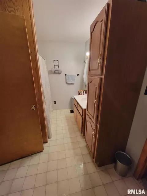531 Dewitte St, Murphysboro, IL 62966 photo 12