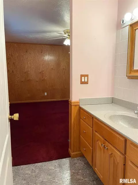 3029 Willow Branch Ln, Herrin, IL 62948 photo 18