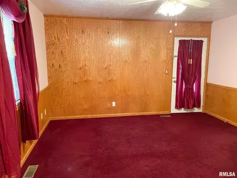 3029 Willow Branch Ln, Herrin, IL 62948 photo 21