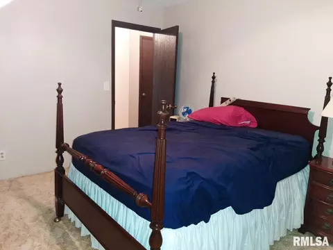 701 W Sylvester Ave, Christopher, IL 62822 photo 9