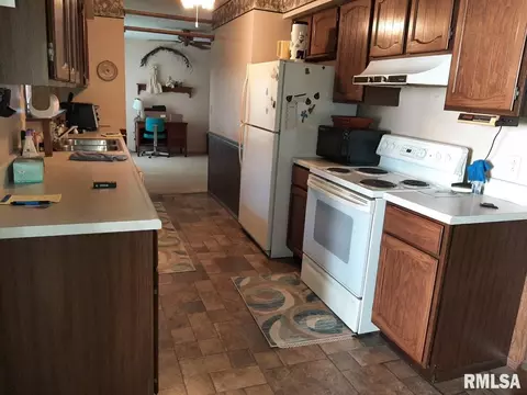 701 W Sylvester Ave, Christopher, IL 62822 photo 5