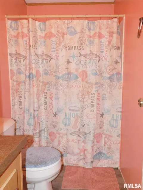 408 W 9th St, Sandoval, IL 62882 photo 16