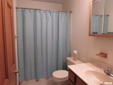 5 Clear Lake Dr, Centralia, IL 62801 photo 35