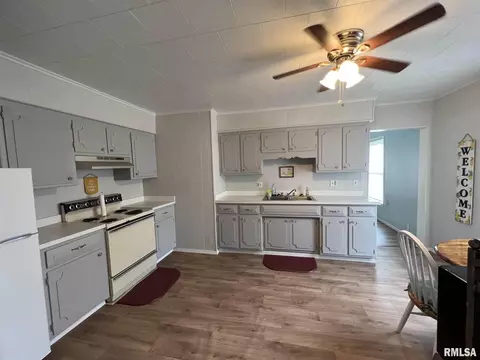 311 N Maple St, Christopher, IL 62822 photo 15