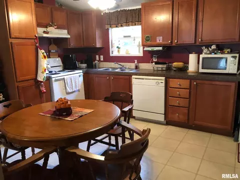202 E Lottie St, Sesser, IL 62884 photo 13