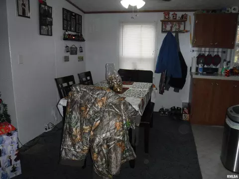 603 Thomas St, Iuka, IL 62849 photo 8