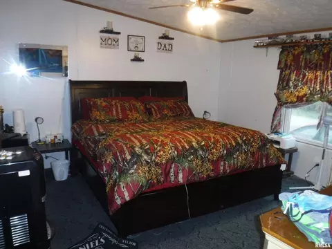 603 Thomas St, Iuka, IL 62849 photo 11