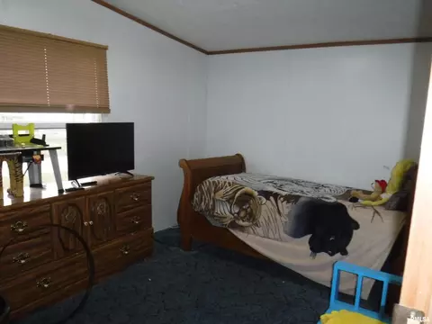 603 Thomas St, Iuka, IL 62849 photo 10