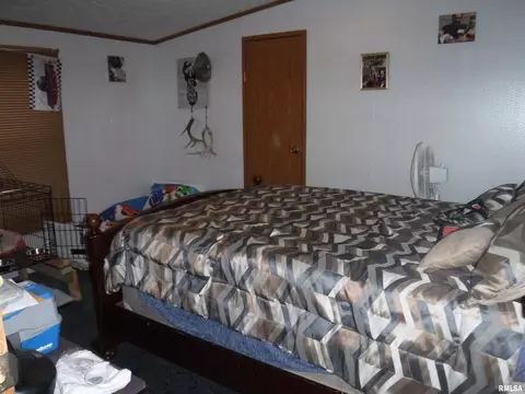 603 Thomas St, Iuka, IL 62849 photo 9