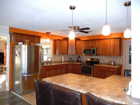 20 Willow Ln, Anna, IL 62906 photo 24