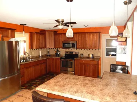 20 Willow Ln, Anna, IL 62906 photo 22