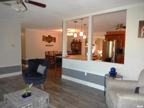 20 Willow Ln, Anna, IL 62906 photo 18