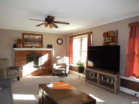 20 Willow Ln, Anna, IL 62906 photo 26