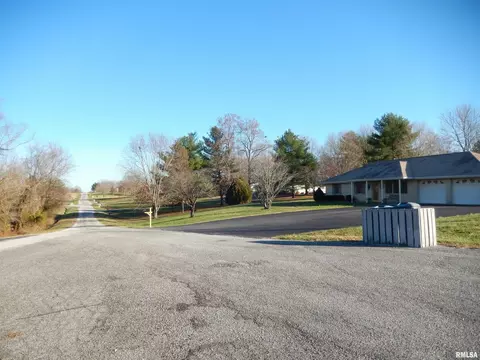 20 Willow Ln, Anna, IL 62906 photo 15