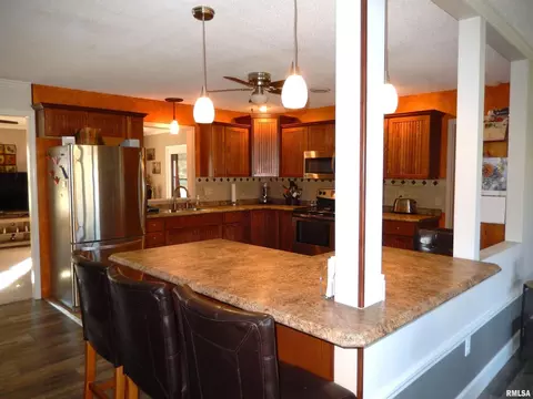 20 Willow Ln, Anna, IL 62906 photo 20