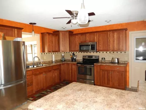 20 Willow Ln, Anna, IL 62906 photo 21