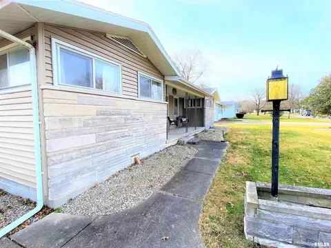 12 Holly Ln, Flora, IL 62839 photo 47
