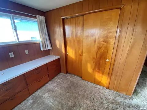 12 Holly Ln, Flora, IL 62839 photo 31