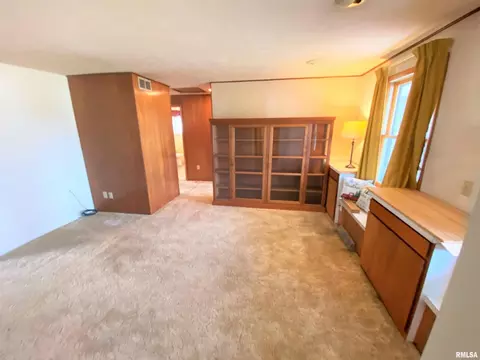 12 Holly Ln, Flora, IL 62839 photo 11