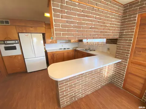 12 Holly Ln, Flora, IL 62839 photo 22