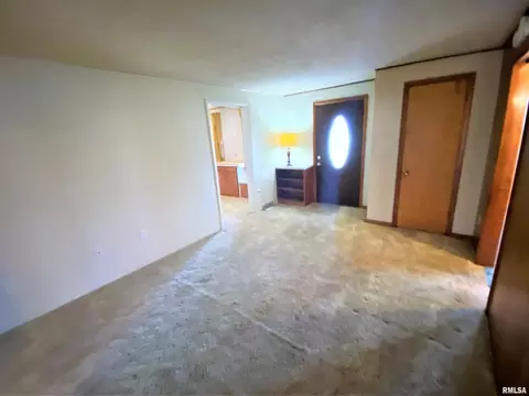 12 Holly Ln, Flora, IL 62839 photo 10