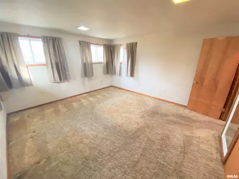 12 Holly Ln, Flora, IL 62839 photo 34