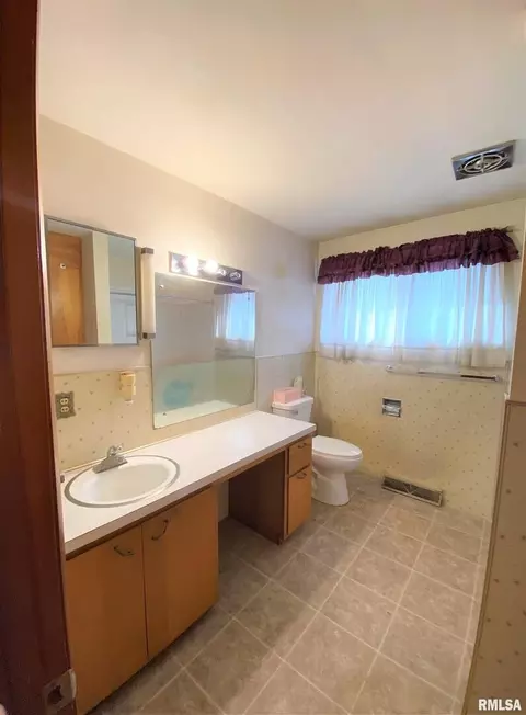 12 Holly Ln, Flora, IL 62839 photo 35