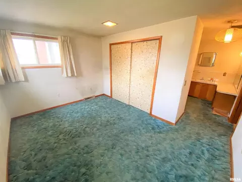 12 Holly Ln, Flora, IL 62839 photo 27