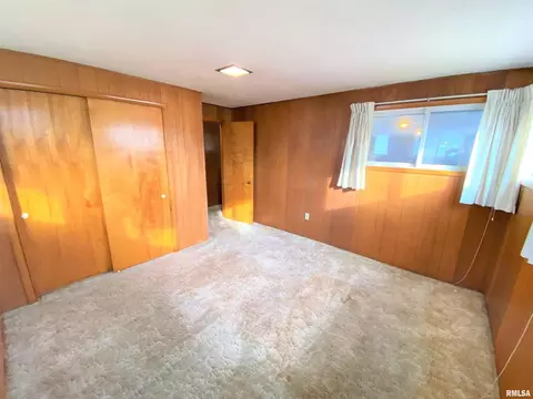 12 Holly Ln, Flora, IL 62839 photo 30