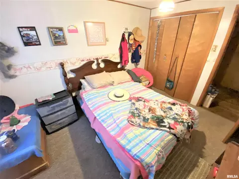 930 S State St, Flora, IL 62839 photo 21